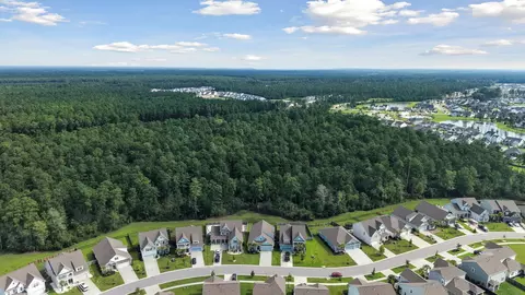 View/Area - 216 Shortmarsh St, Summerville, SC 29486 photo 8 of 25