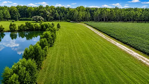 View/Area - 703 Bay Rd, Rowesville, SC 29133 photo 5 of 6