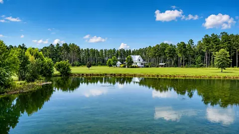 View/Area - 703 Bay Rd, Rowesville, SC 29133 photo 6 of 6