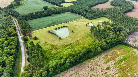 View/Area - 703 Bay Rd, Rowesville, SC 29133 photo 2 of 6