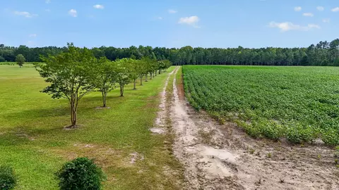 Entry Way - 703 Bay Rd, Rowesville, SC 29133 photo 14 of 14