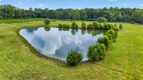View/Area - 703 Bay Rd, Rowesville, SC 29133 photo 4 of 6