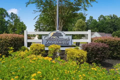 View/Area - 248 Timber Run Dr, Georgetown, SC 29440 photo 7 of 7