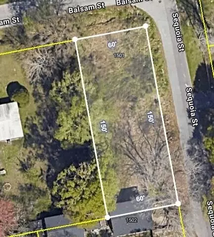 1501 Balsam St, Charleston, SC 29407