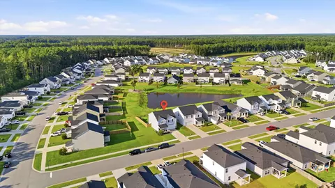 View/Area - 716 Pine Warbler Ln, Moncks Corner, SC 29461 photo 2 of 2