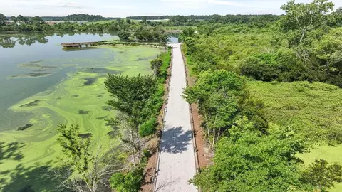 View/Area - 209 Beebalm Ln, Moncks Corner, SC 29461 photo 3 of 6