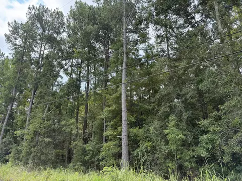 0 Charleston Hwy, Orangeburg, SC 29115