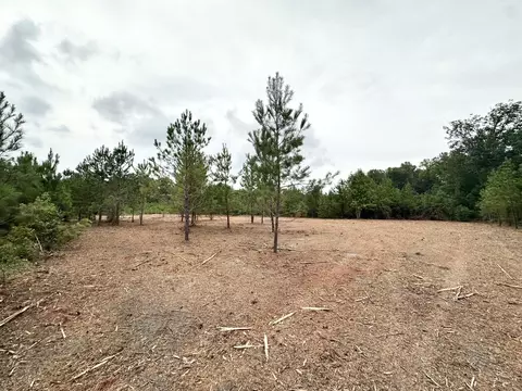 0 Wesley Grove Church Rd, Cordova, SC 29039