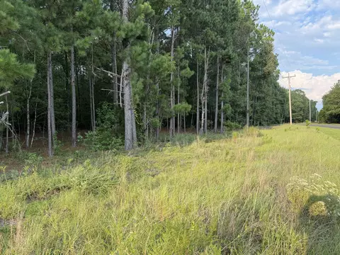 0 Fire Tower Rd, Salley, SC 29137 photo 4