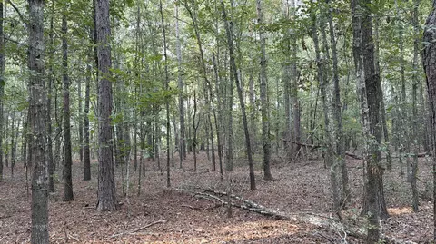 0 Fire Tower Rd, Salley, SC 29137 photo 3