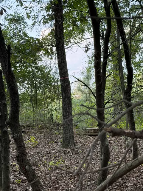 0 Fire Tower Rd, Salley, SC 29137 photo 2