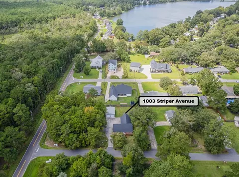 View/Area - 1003 Striper Ave, Moncks Corner, SC 29461 photo 3 of 11