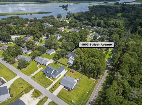 View/Area - 1003 Striper Ave, Moncks Corner, SC 29461 photo 5 of 11