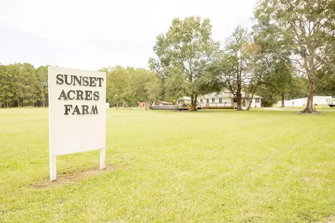 10007 Jacksonboro Rd, Cottageville, SC 29435