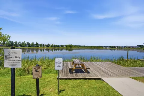 View/Area - 237 Red Leaf Blvd, Moncks Corner, SC 29461 photo 4 of 4