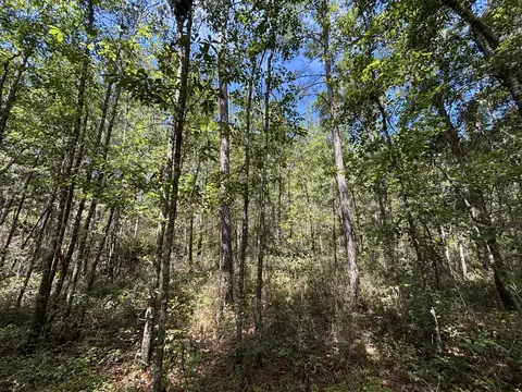 10 Red Oak Rd, Cottageville, SC 29435