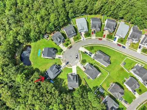 View/Area - 223 Buttonbush Ct, Moncks Corner, SC 29461 photo 4 of 9
