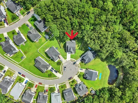 View/Area - 223 Buttonbush Ct, Moncks Corner, SC 29461 photo 3 of 9