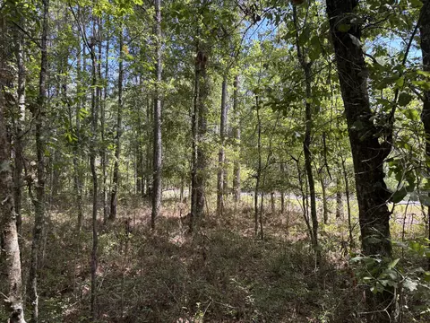 tbd Red Oak Rd, Cottageville, SC 29435
