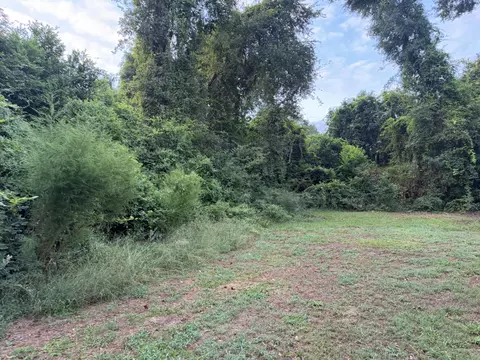 59 Lilly St, Denmark, SC 29042 photo 6