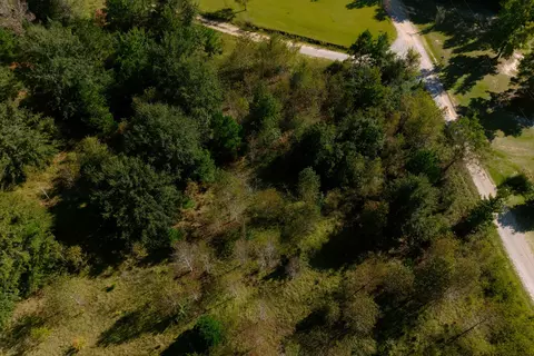 194 Dove Dr, Denmark, SC 29042 photo 6