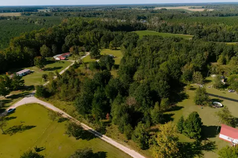 194 Dove Dr, Denmark, SC 29042 photo 7