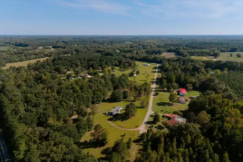 194 Dove Dr, Denmark, SC 29042 photo 5