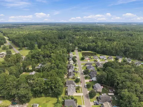 View/Area - 187 Blackstone Dr, Moncks Corner, SC 29461 photo 7 of 8
