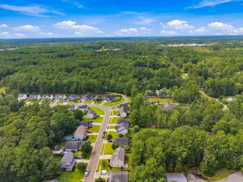 View/Area - 187 Blackstone Dr, Moncks Corner, SC 29461 photo 8 of 8