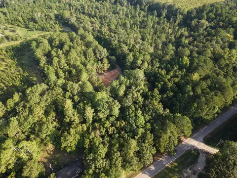 0 Comos Rd, Neeses, SC 29107 photo 5