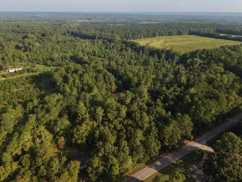 0 Comos Rd, Neeses, SC 29107 photo 4