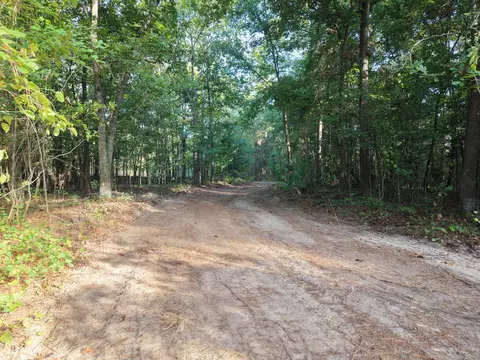 0 Comos Rd, Neeses, SC 29107 photo 6