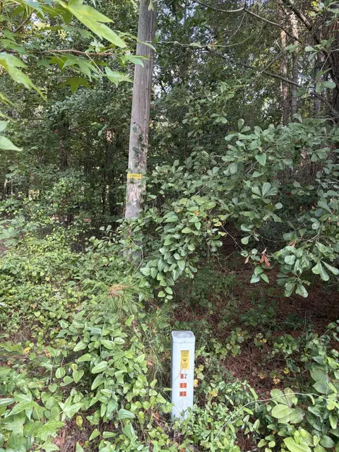 0 Comos Rd, Neeses, SC 29107 photo 8