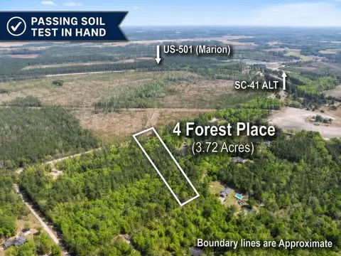 4 Forest Pl, Marion, SC 29571