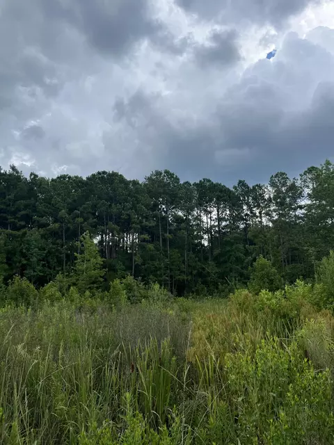 0 Yaremich Rd, Moncks Corner, SC 29461 photo 5