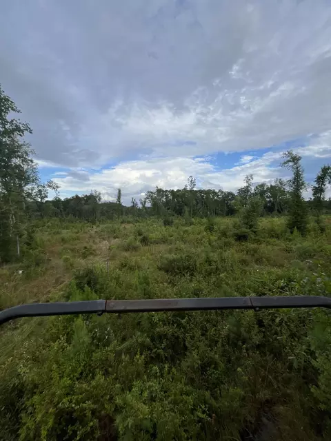 0 Yaremich Rd, Moncks Corner, SC 29461 photo 3