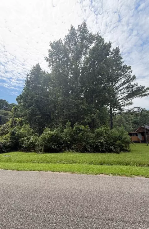 1017 Rosa Green Rd, Awendaw, SC 29429