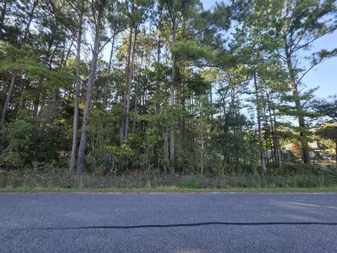 0 Buck Dr, Georgetown, SC 29440 photo 4