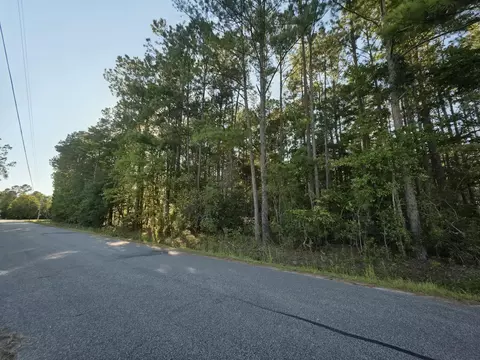 0 Buck Dr, Georgetown, SC 29440 photo 5