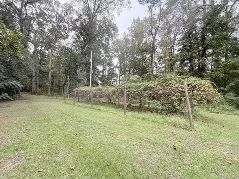 828 Morrisville Rd, Andrews, SC 29510 photo 15