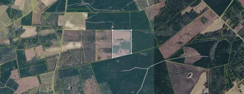 0 Tom Crib Rd, Andrews, SC 29510