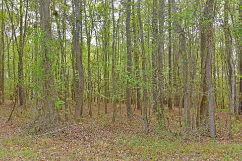 0 Ridgelake Cir, Saint Matthews, SC 29135