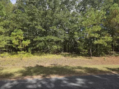 0 Prospect St, Bowman, SC 29018 photo 6