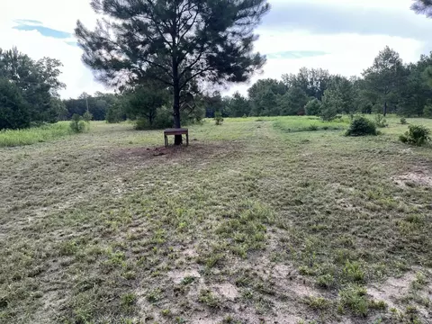 0 Prospect St, Bowman, SC 29018 photo 8