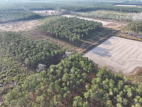 tbd Eddie Ct, Gresham, SC 29546