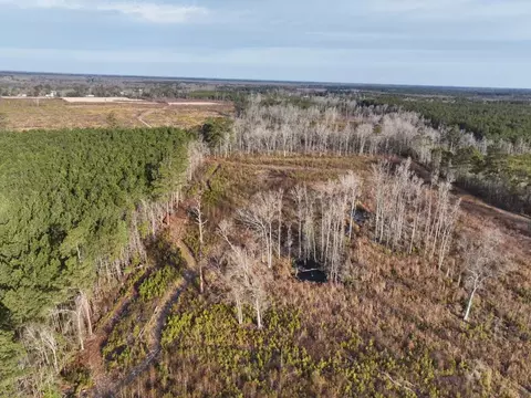 tbd Eddie Ct, Gresham, SC 29546 photo 5