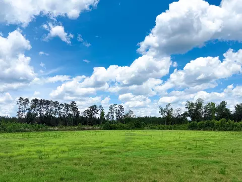 tbd Eddie Ct, Gresham, SC 29546 photo 3