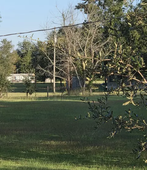 403 Walker Dr, Eutawville, SC 29048