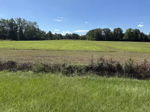 15860 Ace Basin Pkwy, Jacksonboro, SC 29452