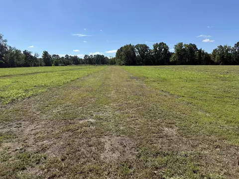 15844 Ace Basin Pkwy, Round O, SC 29474